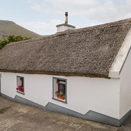 The Thatched Cottage Liscarney Екстериор снимка